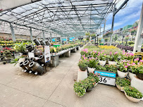Lowe's Garden Center - Photo 4 - Car repair in Riverview, FL, Tampa