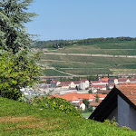 Photo n°3 de l'avis de NUNA. fait le 20/08/2023 à 10:21 sur le  Hotel Wittelsbacher Höh à Würzburg