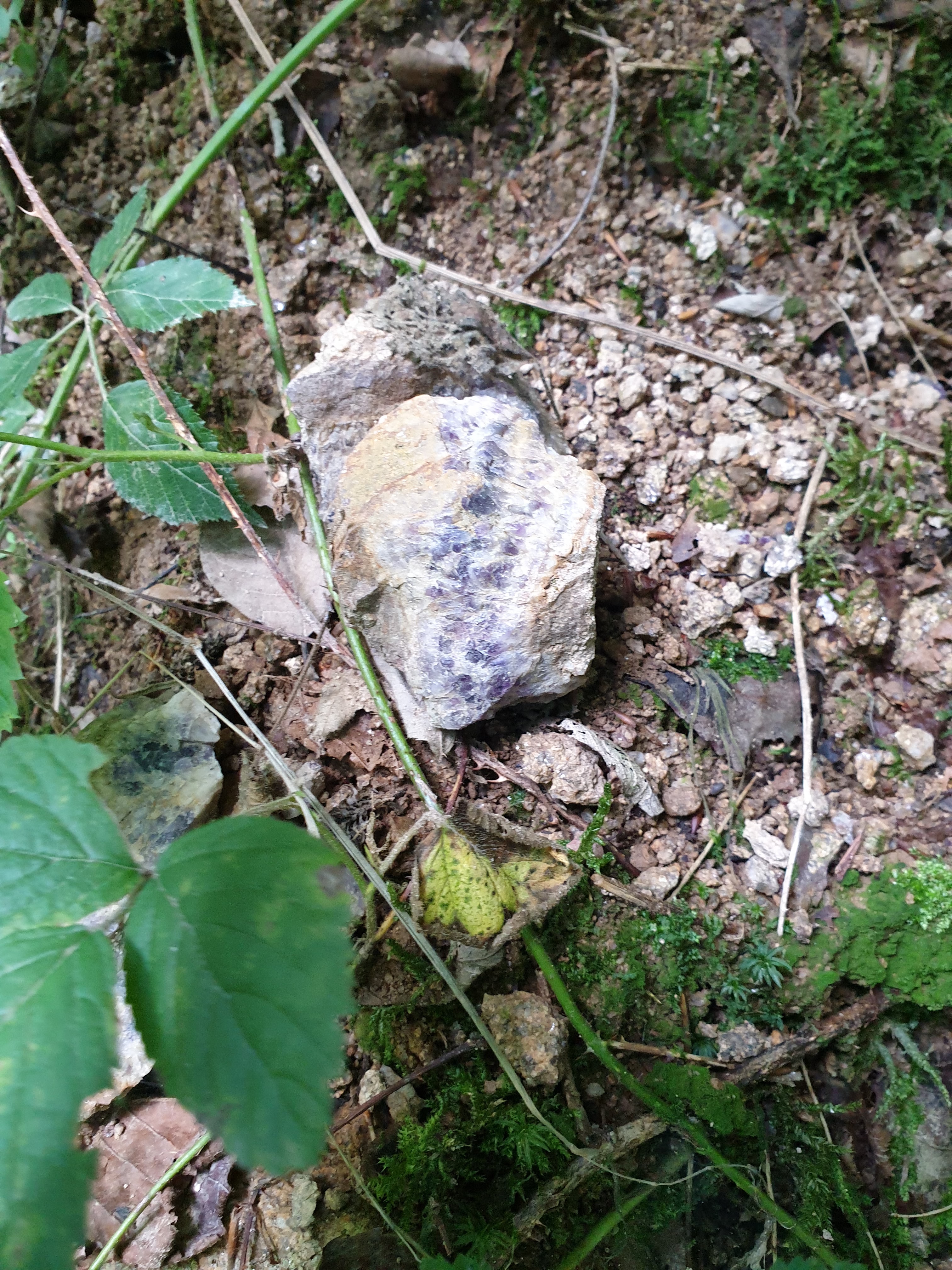 Photo n° 1 de l'avis de Nicolas.u fait le 17/08/2021 à 10:44