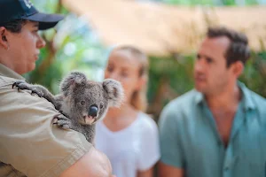 Hamilton Island Wildlife image