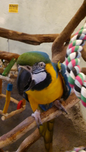 Craft Store «Michaels», reviews and photos, 100-B Independent Way, Brewster, NY 10509, USA