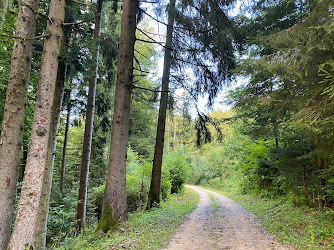 Schwarzkopf Trail