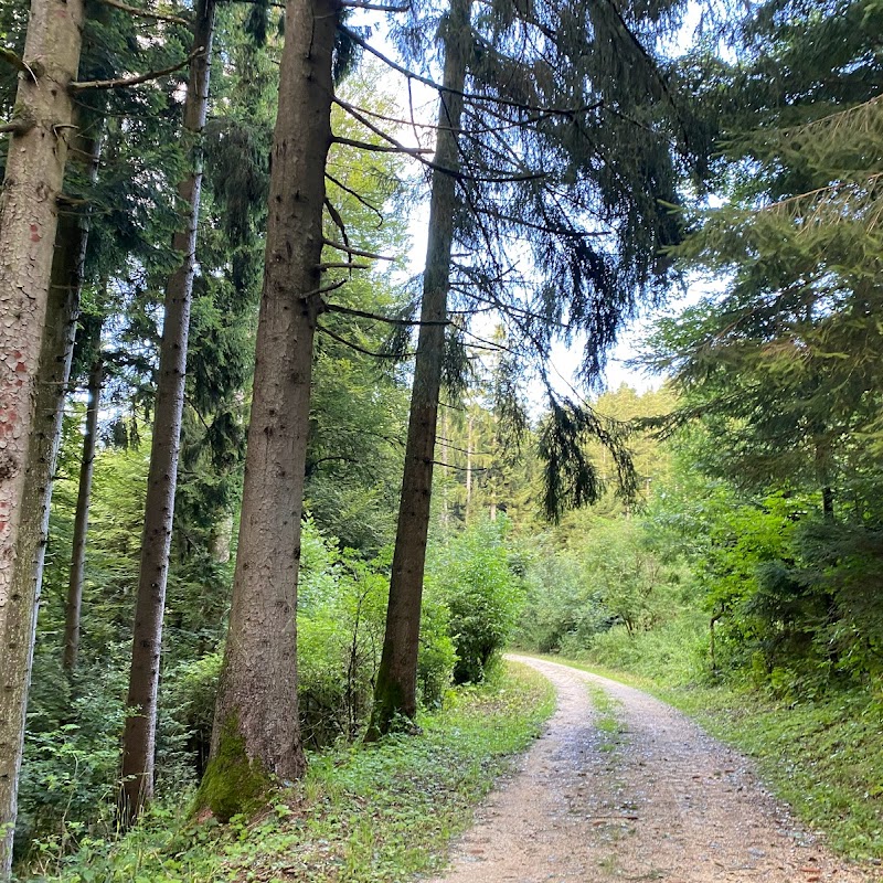Schwarzkopf Trail