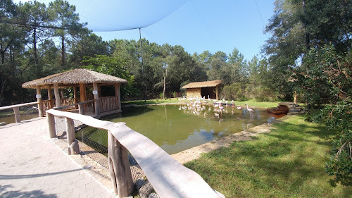 Zoo de Labenne à Labenne