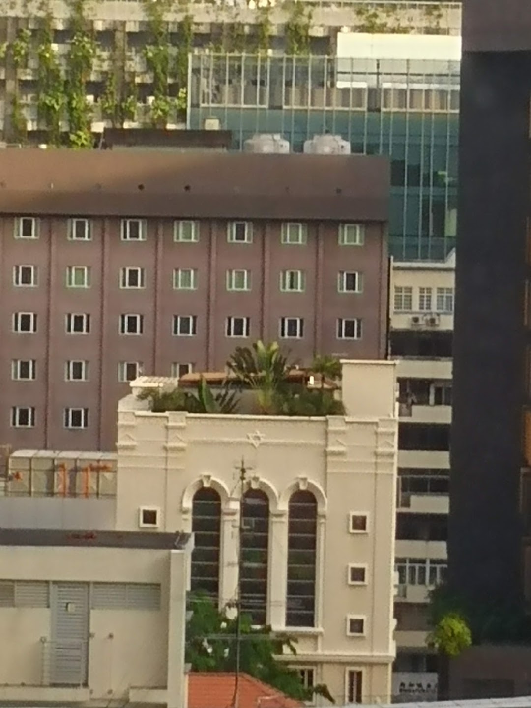 בית חבד סינגפור