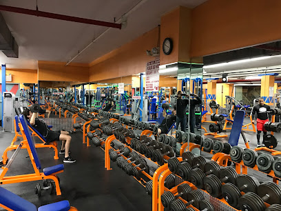 Absolute Power Fitness - 750 Grand St, Brooklyn, NY 11211
