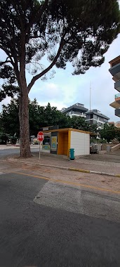 Karagoz Taxi