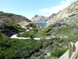 Cala Fico beach'in fotoğrafı biraz temiz temizlik seviyesi ile
