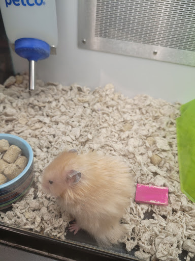 Pet Supply Store «Petco Animal Supplies», reviews and photos, 1951 N Military Trl c, West Palm Beach, FL 33409, USA