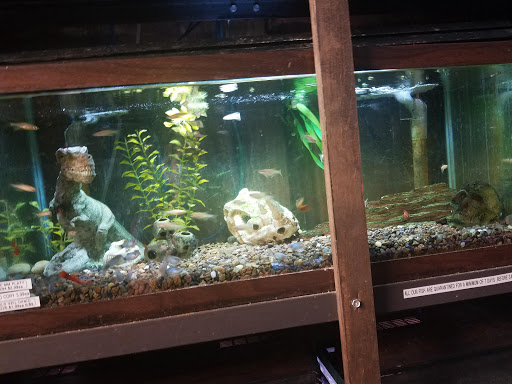 Pet Store «Rivers & Reefs Pet Center», reviews and photos, 2008 S 1st St, Austin, TX 78704, USA