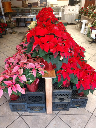 Garden Center «Laura Ann Farms», reviews and photos, 401 NY-17M, Monroe, NY 10950, USA