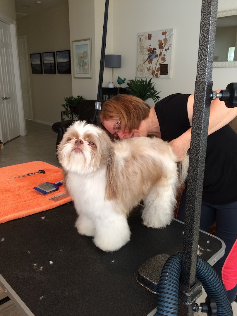 Pinky's At Home Mobile Dog Grooming Boca Raton | Delray Beach