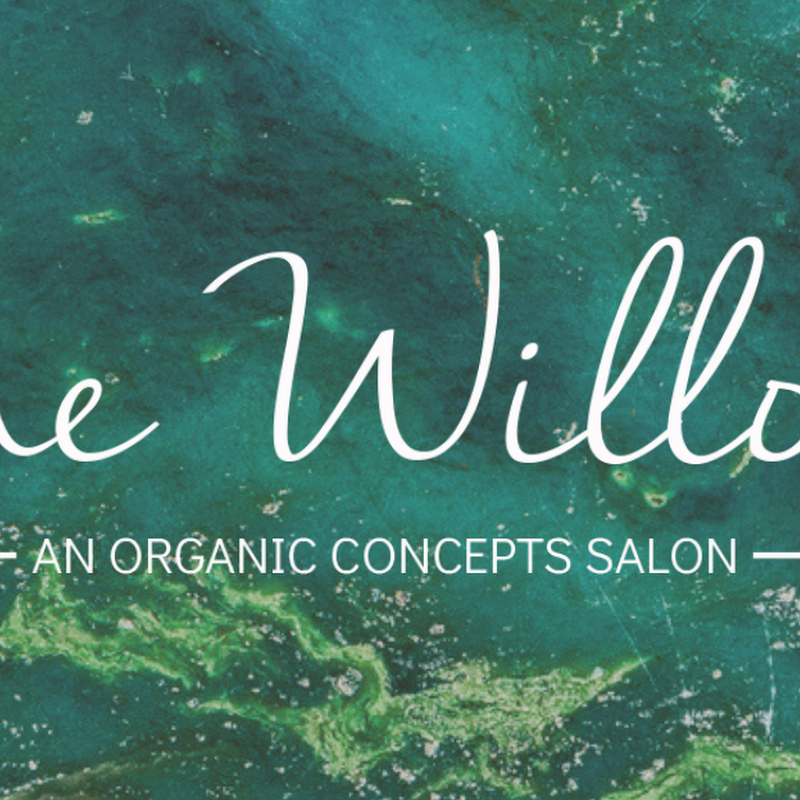 The Willow - an Organic Concepts Salon