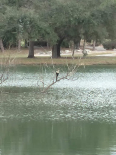 Golf Club «World Woods Golf Club», reviews and photos, 17590 Ponce De Leon Boulevard, Brooksville, FL 34614, USA