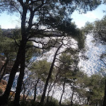 Photo n° 34 de l'avis de Djemaa.h fait le 07/03/2019 à 16:05 pour Calanque de Port d'Alon à Saint-Cyr-sur-Mer