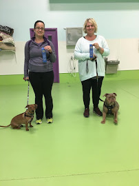 Click!Pawsitive Family Pet Center - Photo 6 - Car repair in Okemos, MI, Lansing