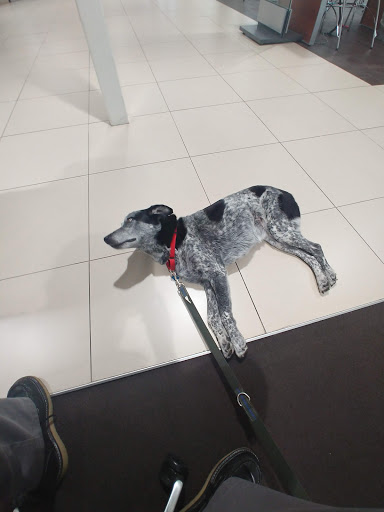 BMW Dealer «Chapman BMW On Camelback», reviews and photos, 830 E Camelback Rd, Phoenix, AZ 85014, USA