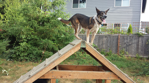 Park «Morrill Meadows Park», reviews and photos, 10600 SE 248th St, Kent, WA 98030, USA