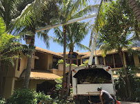 Tree West - Photo 5 - Car repair in Sanibel, FL, Bonita Springs