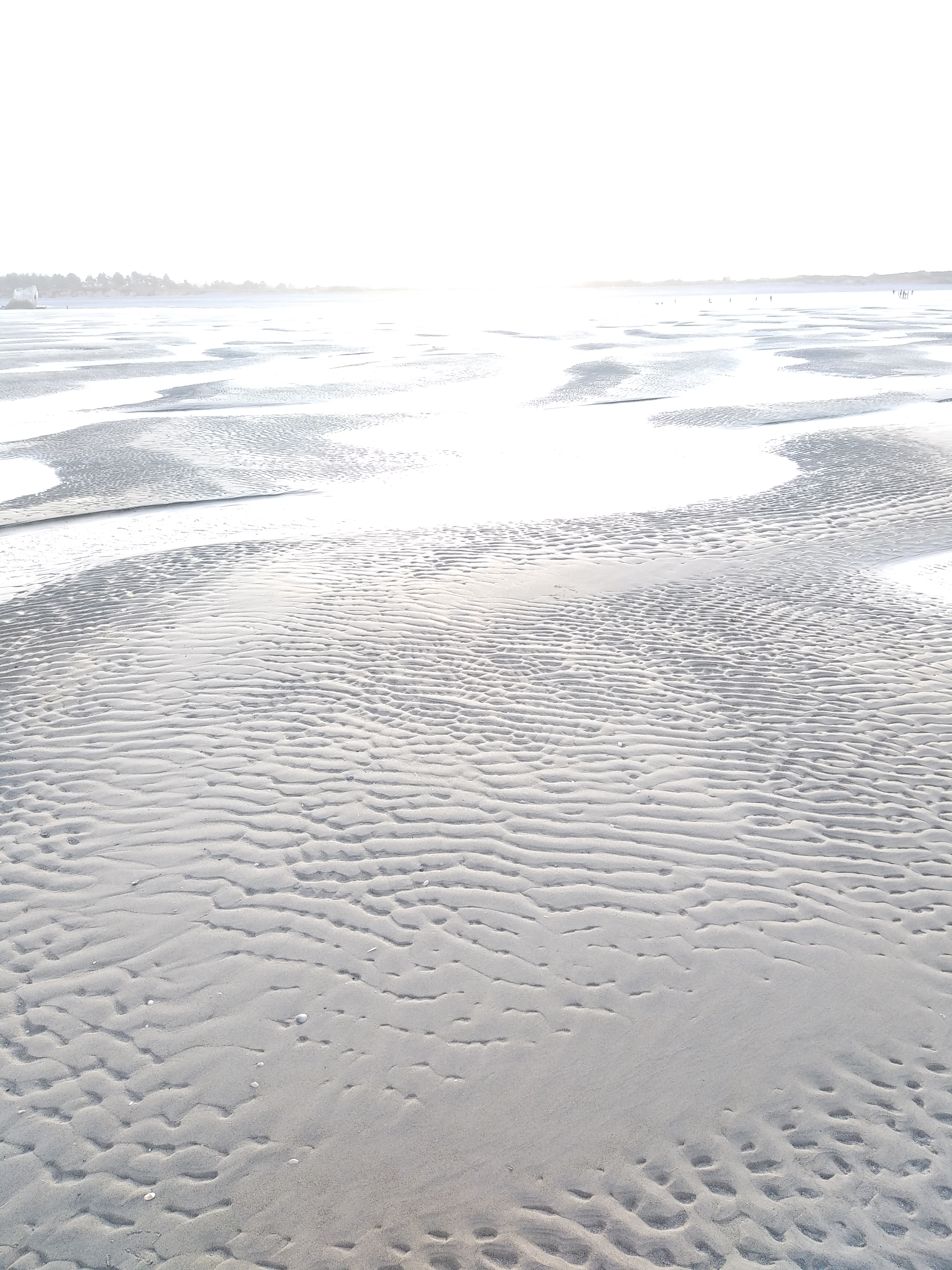 Photo n° 1 de l'avis de Pierre.s fait le 28/12/2021 à 12:50