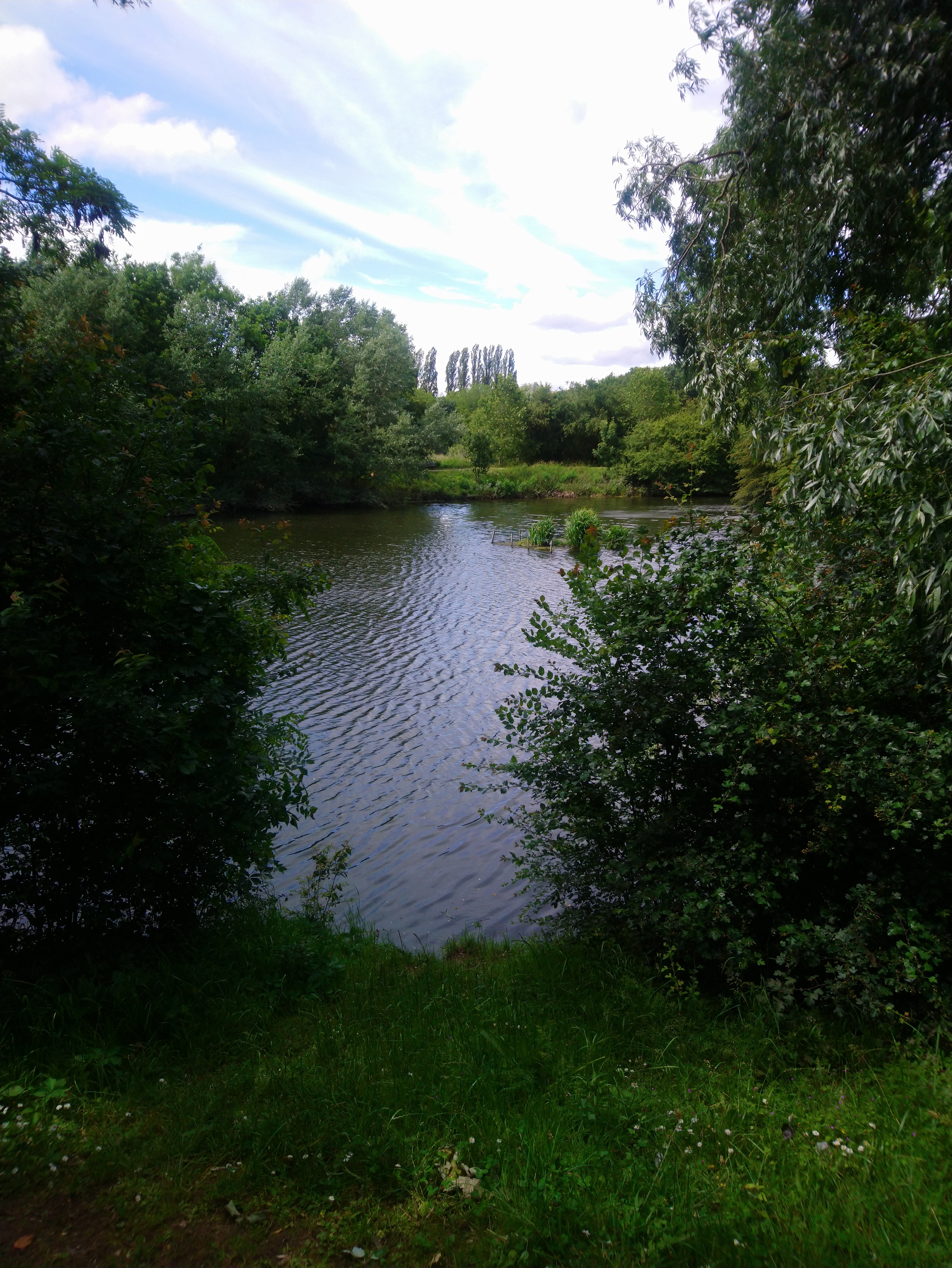 Photo n° 24 de l'avis de Lucien.e fait le 10/06/2019 à 14:26