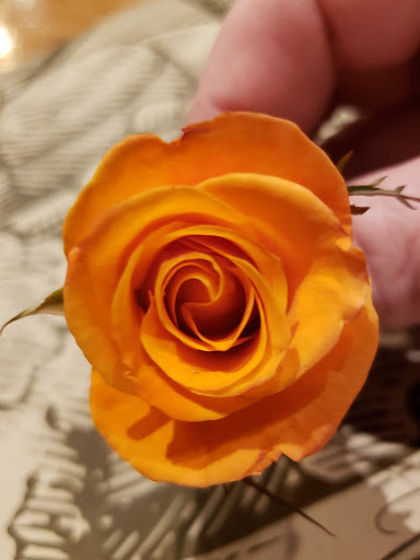 American Restaurant «Cracker Barrel Old Country Store», reviews and photos, 13833 W Hillsborough Ave, Tampa, FL 33635, USA