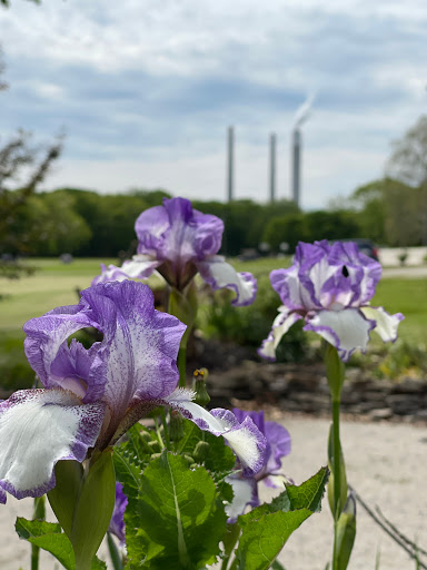 Winery «Lanthier Winery», reviews and photos, 123 Mill St, Madison, IN 47250, USA