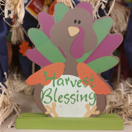 Dollar Store «FAMILY DOLLAR», reviews and photos, 2021 Cherry Rd, Rock Hill, SC 29732, USA