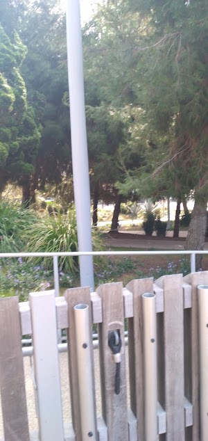 Tongva Park - photo 83
