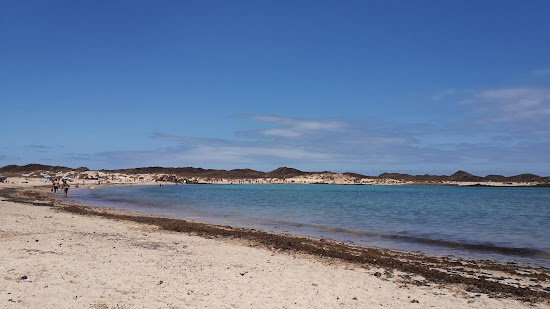 Playa De La Concha De Lobos