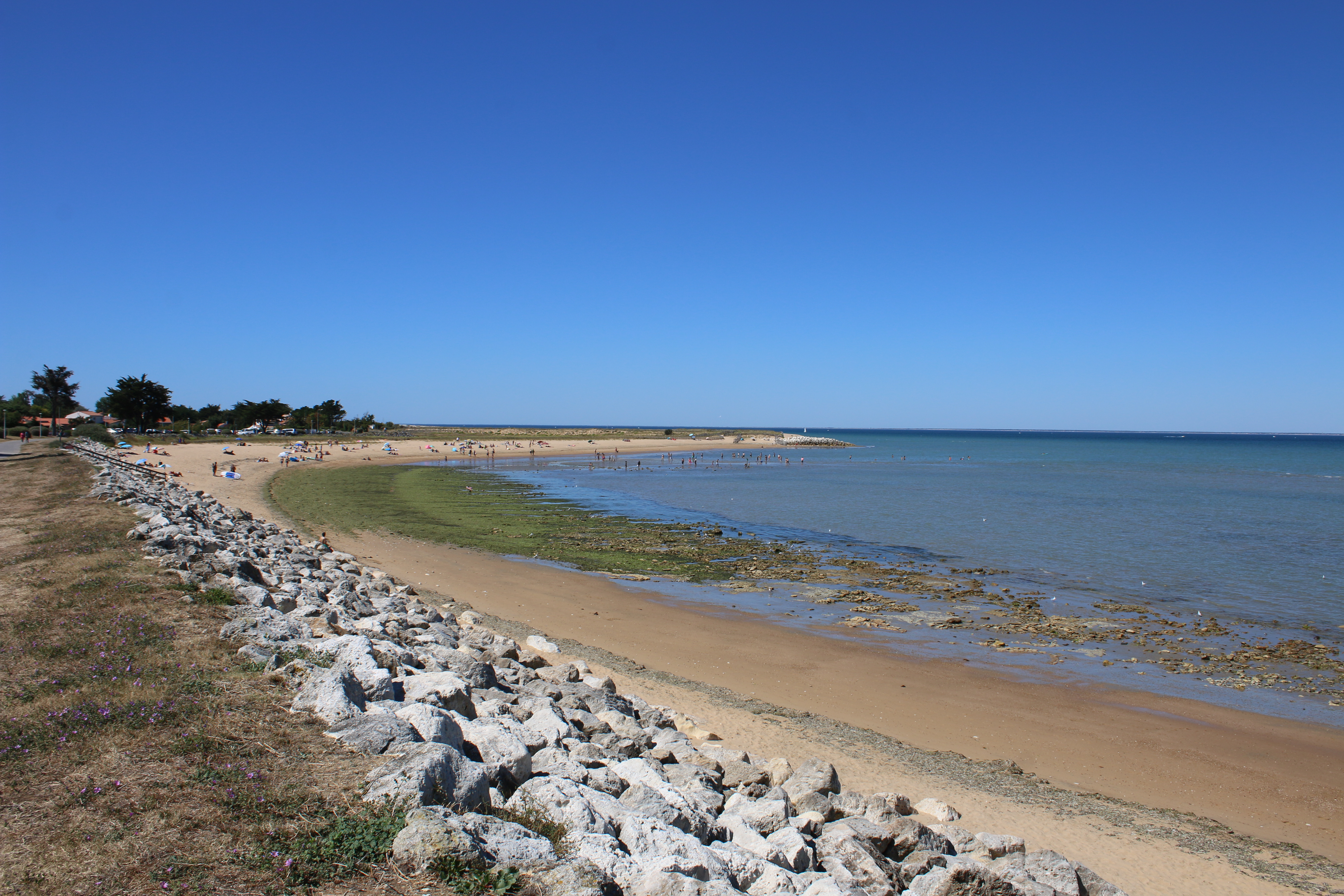Photo n° 1 de l'avis de Guillaume.a fait le 09/08/2022 à 18:41