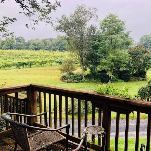 Winery «Shenandoah Vineyards», reviews and photos, 3659 S Ox Rd, Edinburg, VA 22824, USA