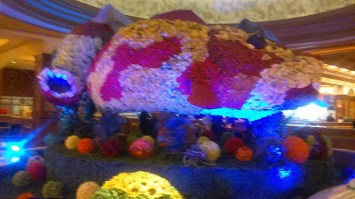 Casino «Caesars Entertainment», reviews and photos, 777 Casino Center Dr, Hammond, IN 46320, USA