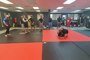 Evolution Submission Grappling image