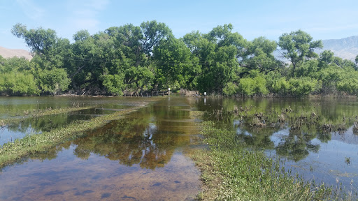 Nature Preserve «Kern River Preserve», reviews and photos, 18747 CA-178, Weldon, CA 93283, USA