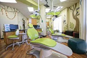 Tots to Teens Pediatric Dentistry & Orthodontics image