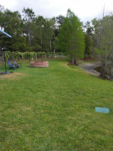 Winery «Keel and Curley Winery», reviews and photos, 5210 Thonotosassa Rd, Plant City, FL 33565, USA