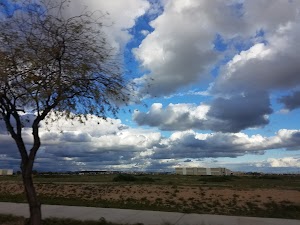 Veramonte Park - photo 19