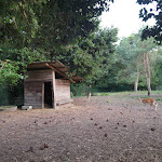 Photo n°2 de l'avis de Daniela.a fait le 10/08/2019 à 13:41 sur le  Ristorante Ca' del Pino à Ravenna