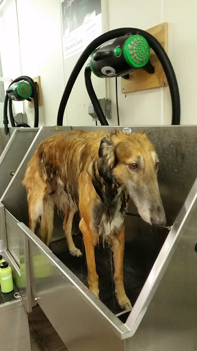 Pet Supply Store «Pet Supplies Plus», reviews and photos, 700 Nutt Rd, Phoenixville, PA 19460, USA