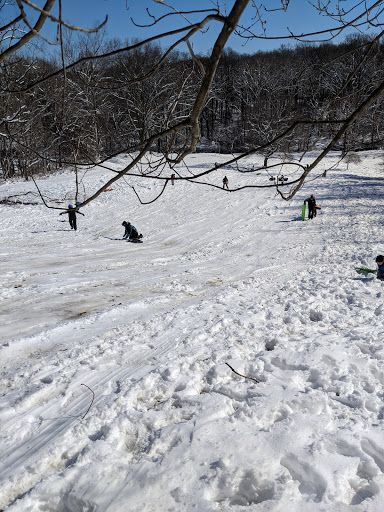 Park «Pilgrim Hill Local Park», reviews and photos, 1615 E Randolph Rd, Silver Spring, MD 20904, USA