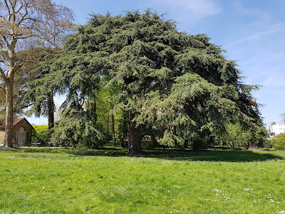Parc du Coteau - Marcel Rosette à Vitry-sur-Seine