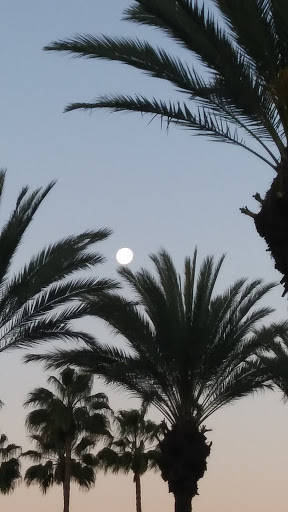 Shopping Mall «Seacliff Village Shopping Center», reviews and photos, Yorktown St & Main St, Huntington Beach, CA 92648, USA