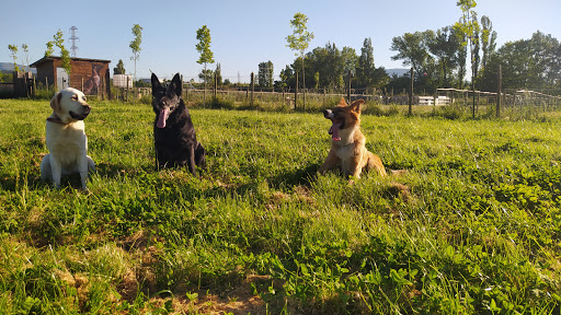 BeloAran Centro Canino en Mutilva Baja, Navarra