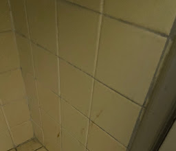 Hotel Ambassador Merida photo