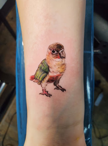 Explore cover up tattoo ideas female leg, creative tattoo ideas in Westland, available at Premier Tattoo Company Westland