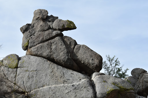 Rock Face