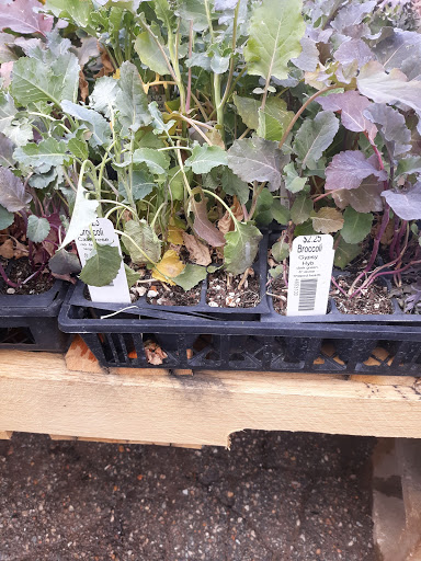 Garden Center «Hillside Feed & Seed Store», reviews and photos, 1805 S Hillside St, Wichita, KS 67211, USA