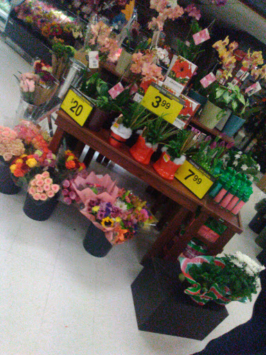 Grocery Store «Kroger», reviews and photos, 209 Chicago Ave, Goshen, IN 46526, USA