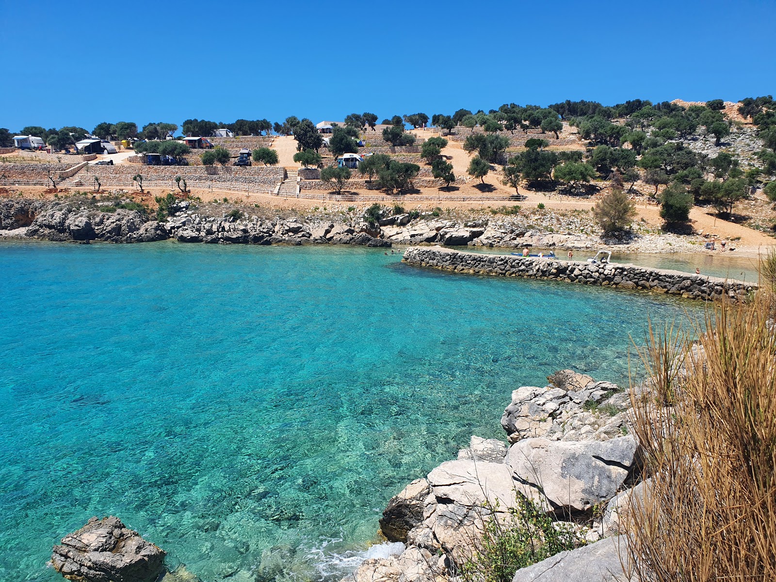 Foto de Borovici beach com areia bege fina superfície